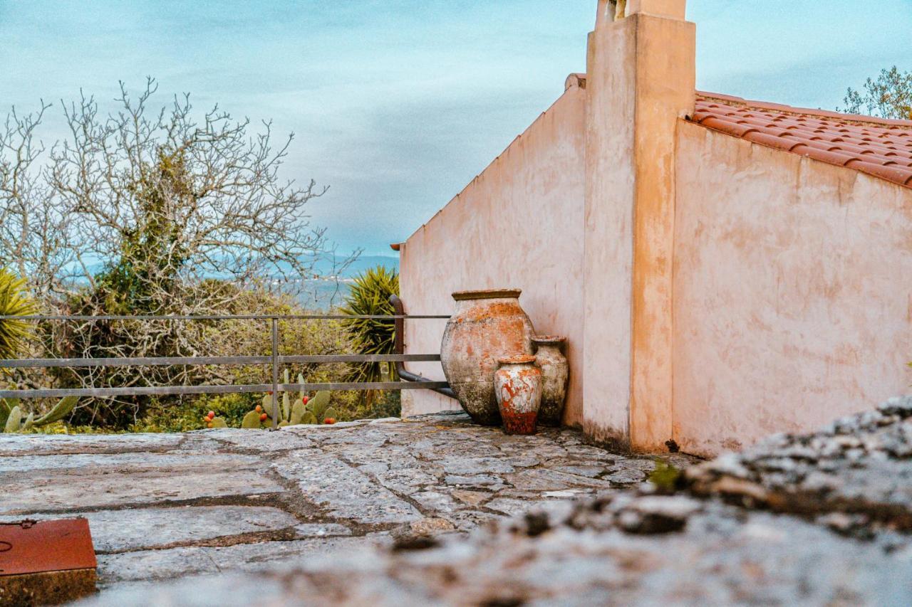 Villa Pedra Natural Houses Alvorge Buitenkant foto